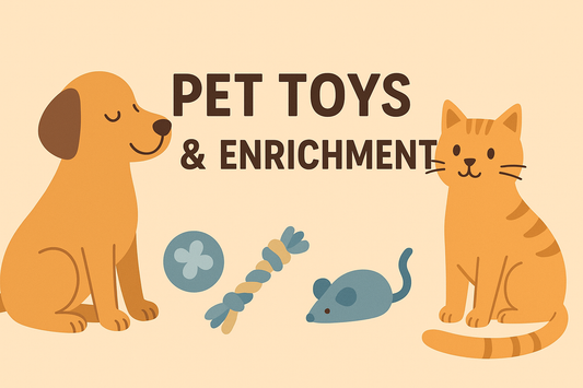 Pet Toys & Enrichment