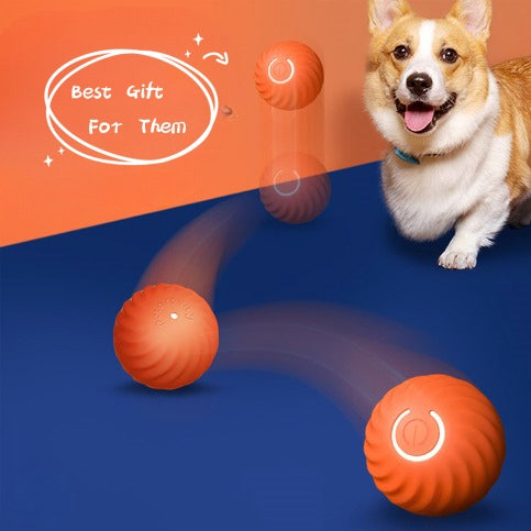 Interactive Rubber Dog Ball Toy - Bite Resistant Training Ball
