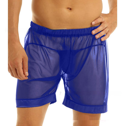 New European And American Men's Mesh Shorts