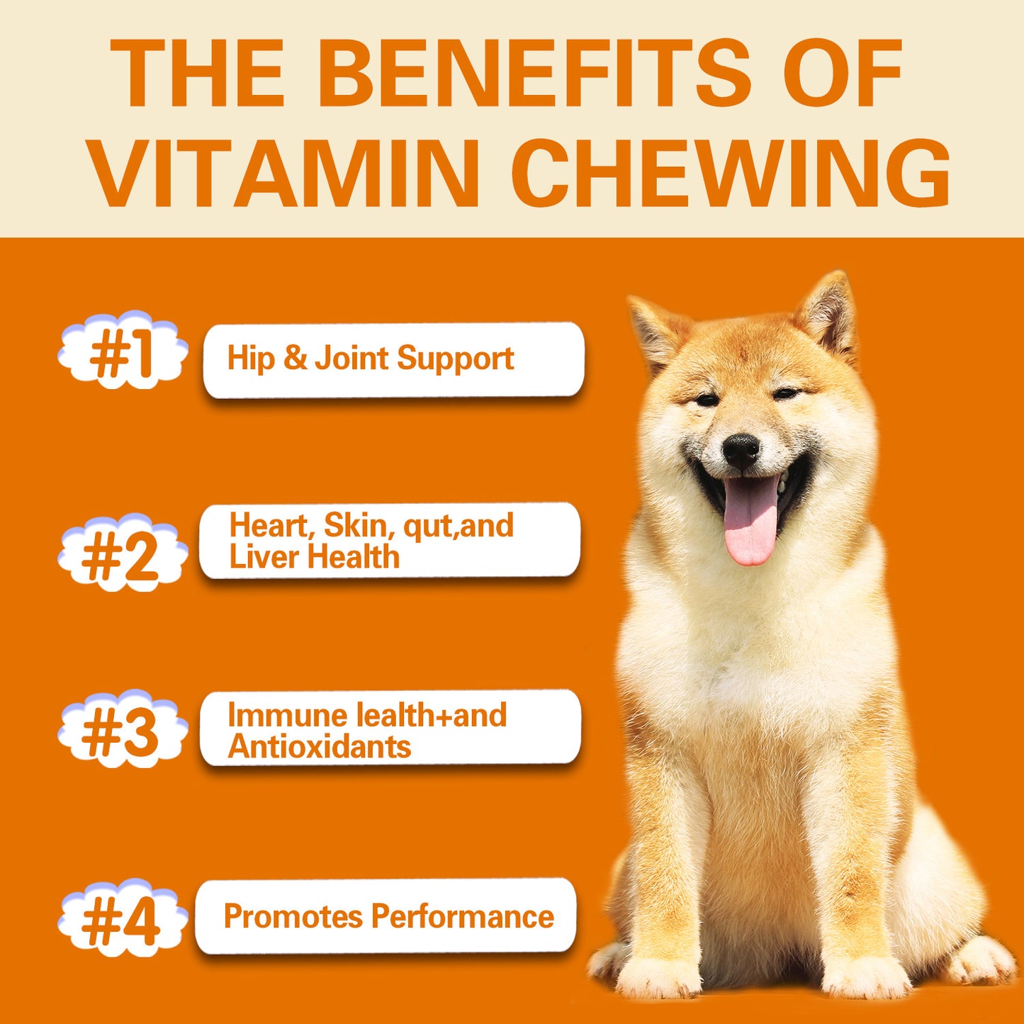 Pet Vitamin Multifunctional Health Care