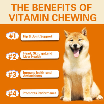 Pet Vitamin Multifunctional Health Care